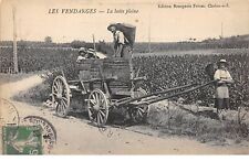 Agriculture - n°64243 - Les