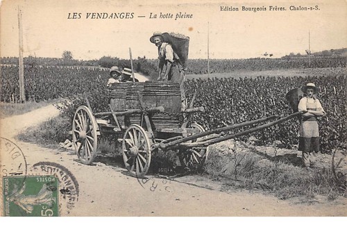 Agriculture 64243 les - -,