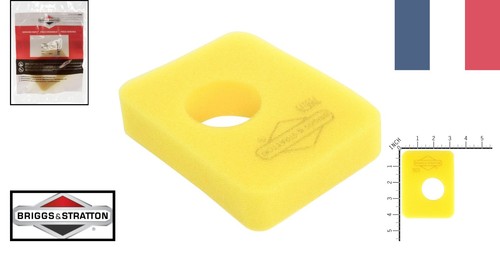 Briggs stratton 799579 - &,