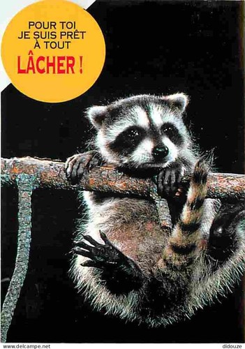 Carte postale animaux - -,