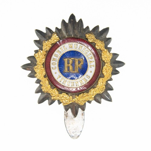 Insigne conseil municipal - insigne,