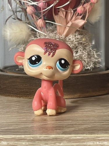 Petshop singe araignee - singe,