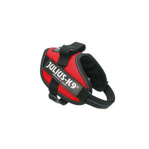 Harnais pour chien julius - chien,