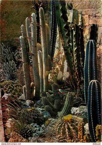Carte postale fleurs - -,