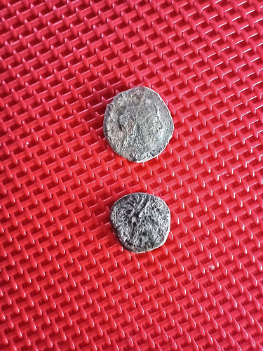 Romaine lot de deux - de,