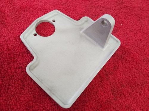 Vintage cast alloy license