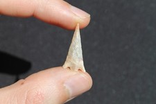 Préhistoire Néolithique