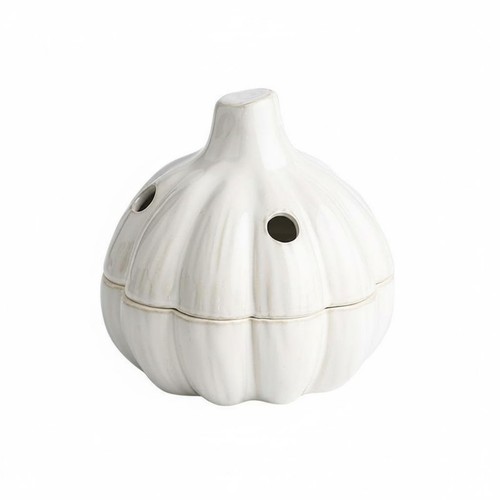 Pot ail céramique - en,