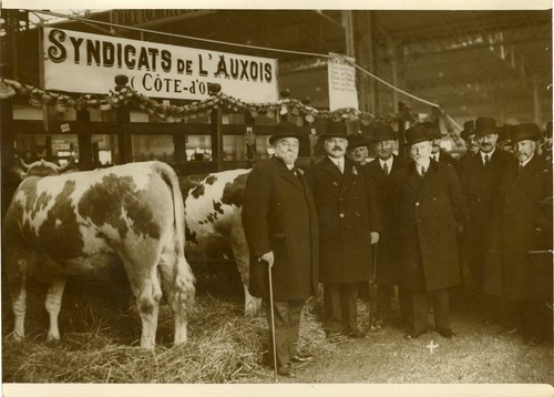 Chauveau au concours - chauveau,