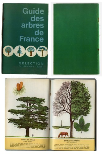 Livre guide des arbres de - des,