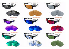 nouveaux verres polarisés de