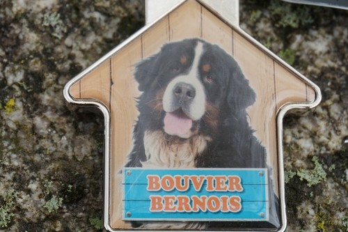 B06 magnifique porte - b06,