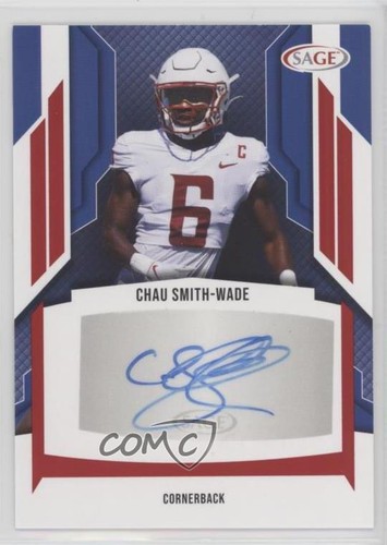 2024 sage hit high - sage, red