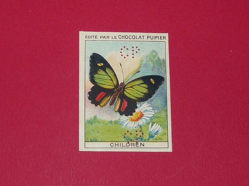 Chromo pupier 1930 album - chromo,