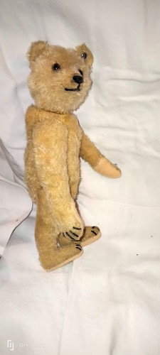 Rare ours ancien - t.rare, steiff