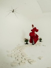 photo 10*15cm 4x6 INCH LILY