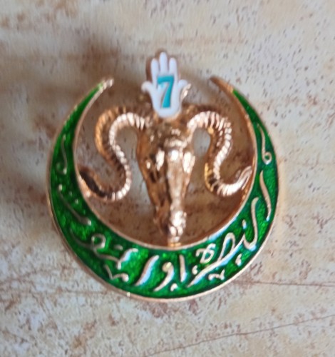 Insigne régiment de - insigne, 7°