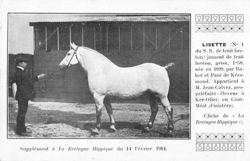 Cpa bretagne hippique - cpa,