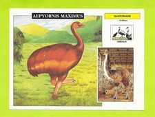 Fiche Edito service S.A. -