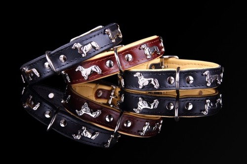 Motif collier teckel chien - motif,