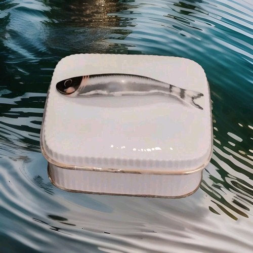 Jolie boite porcelaine - porcelaine, sardine