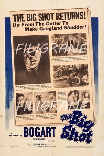 The big shot film - shot, roxe