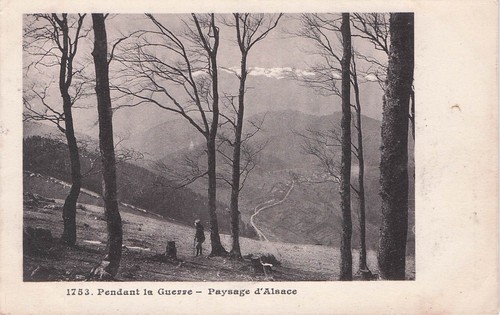 Carte postale postcard - , guerre