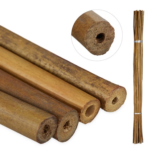Tuteur bambou piquets pour
