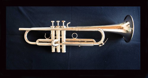 Schilke beryllium trumpet - , b1