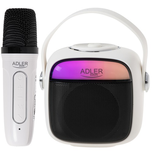 Enceinte karaoké sans fil