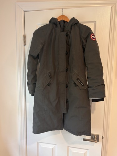 Canada goose youth - goose,