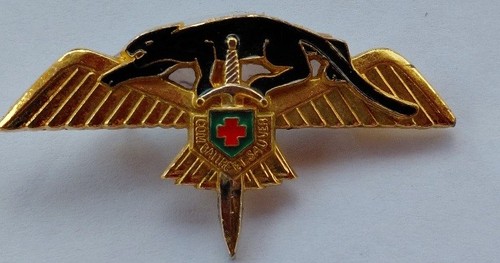 Insigne militaire 2eme - insigne,