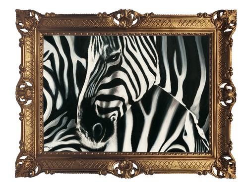 Zèbre zebras cadre - zebras, d'image