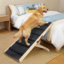 Rampe pour Chien de Petite ou