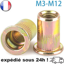 Insert Écrou Rivet Fileté