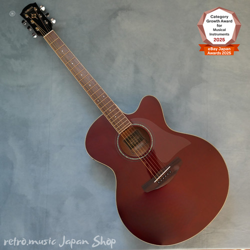 Guitare électrique acoustique
