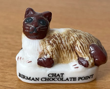 Rare Fève CHAT BIRMAN