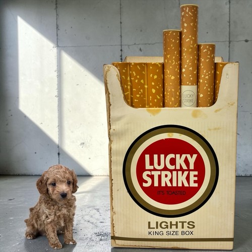 Vintage lucky strike cigarette - lucky,