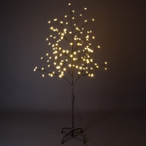 Lightshare cherry blossom - blossom, tree