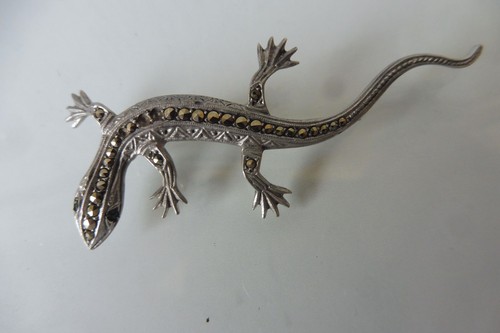 Belle vieux broche - ,vieux, broche,lézard