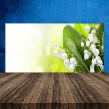 Crédence de cuisine en verre