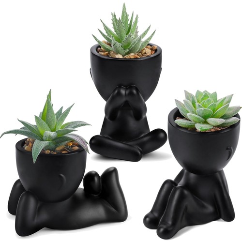 Fausses plantes succulentes - ,