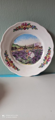 Rare plat sarreguemines - ,