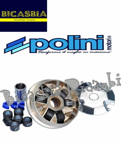12541 variateur polini 50 2t - variateur,