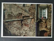 Mariage carriole ane  AJACCIO immeuble document photo  