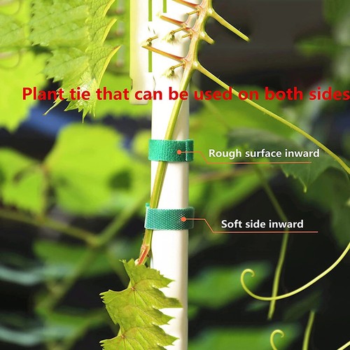 Ruban adhésif pour - , plantes