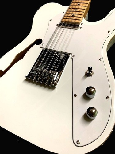 String semi hollow - 12-string, electric