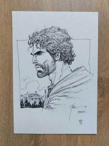 Superbe illustration originale - superbe,