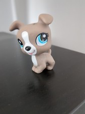 figurine PETSHOP   N°1463 chien pitbull marron au yeux bleus /vert LPS