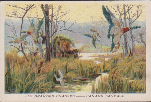 Chromo ancien image - chromo,